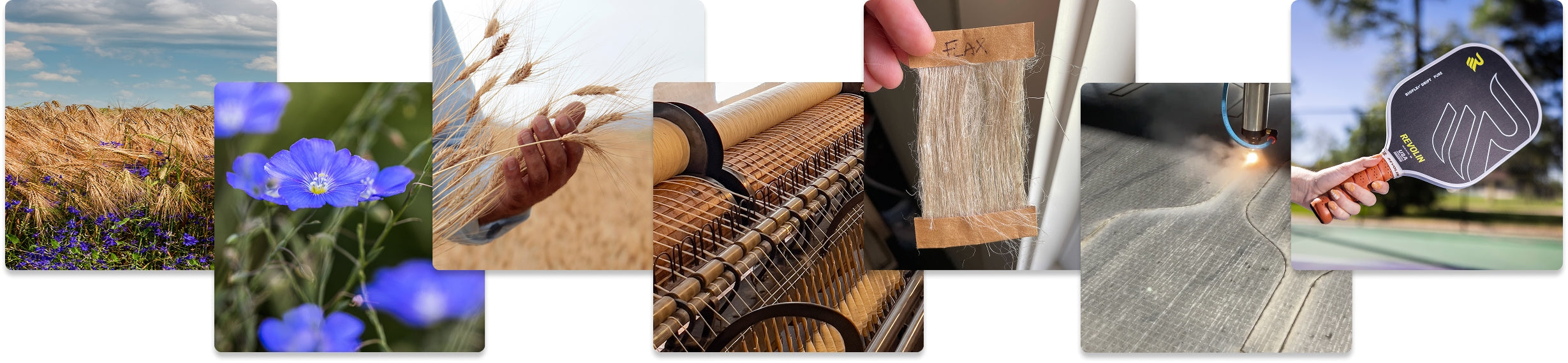 Collage of various nature and product images