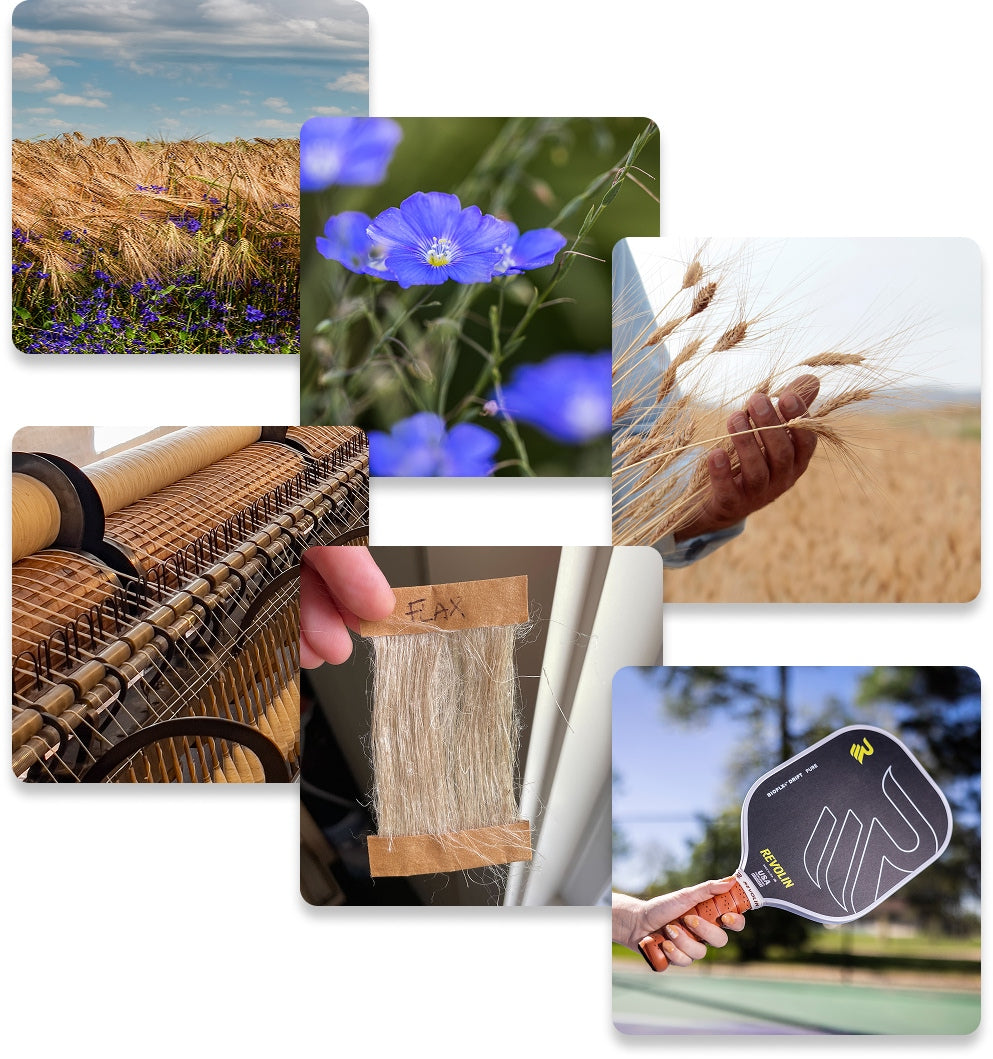 Collage of images including a field, flowers, a hand holding flax, a paddle, and a blue sky.